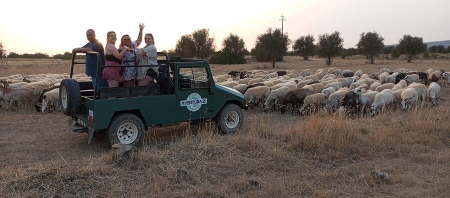 Albufeira: Jeep Safari Half-Day Countryside Tour - Paderne Castle brings history to the countryside