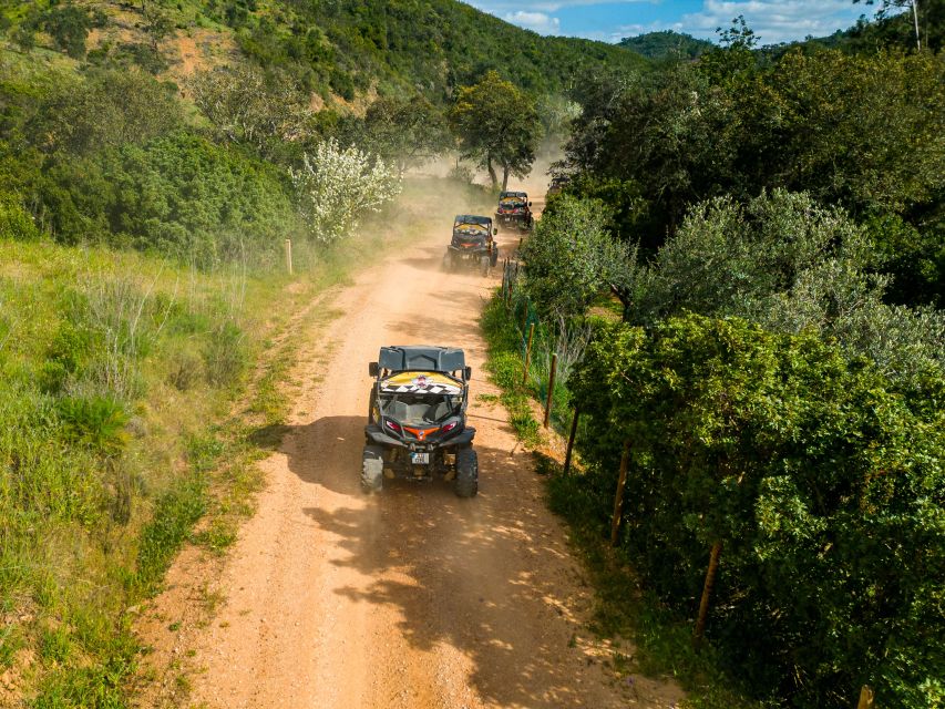 Albufeira: Off-Road Buggy Adventure - Should you book the Albufeira buggy adventure?