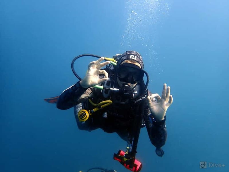 Albufeira: Scuba Diving Experience for Beginners - What the sea session can feel like