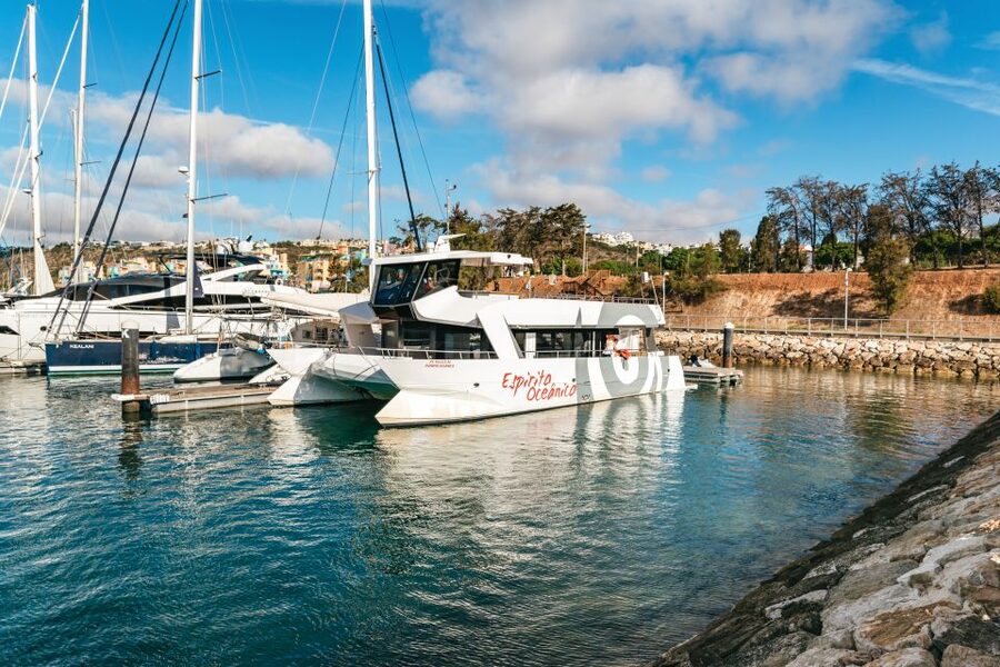 Albufeira: Sightseeing Cruise with Beach BBQ and Open Bar - Timing, meeting point, and cancellation flexibility