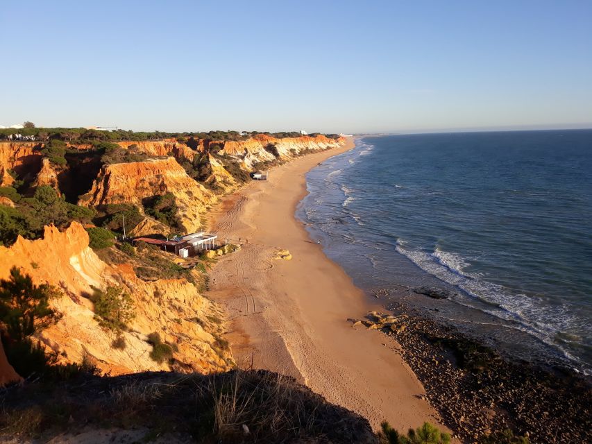 Albufeira: Tuk-tuk Sightseeing Tour - The marina and fishing port: two different views of the coast