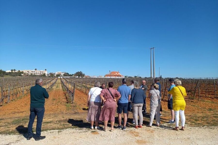 Albufeira/Vilamoura: Winery Tour with Wine Tasting and Tapas - Four wines, Portuguese flavors, and light tapas