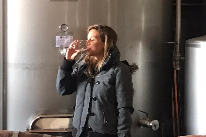 Albufeira Wine Tasting: Boutique Winery Tour & Historic Silves - The guides are a major part of the day