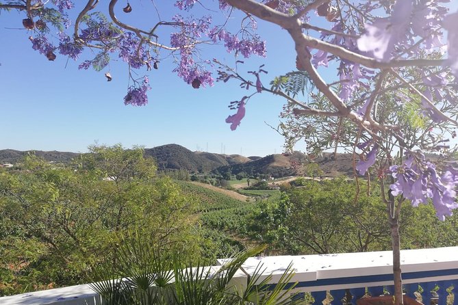 Albufeira Wine Tasting: Boutique Winery Tour & Historic Silves - Timing, pickup, and what to bring