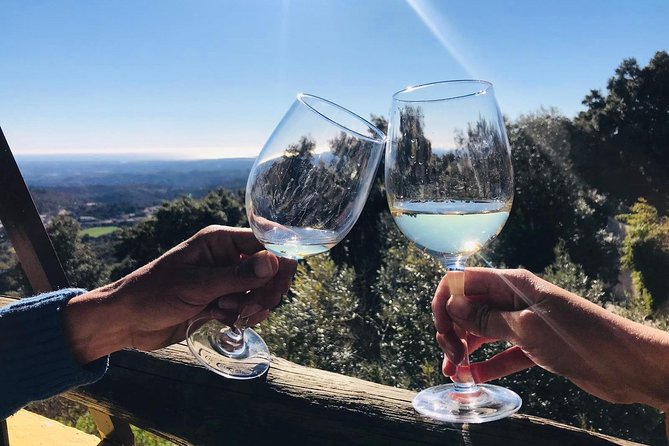 Albufeira Wine Tour: 2 Vineyards, 6 Tastings & Historic Silves - Paxá Wines and Algarve grape varieties
