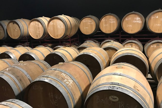 Albufeira Wine Tour: 2 Vineyards, 6 Tastings & Historic Silves - Guide quality and the feel of the day