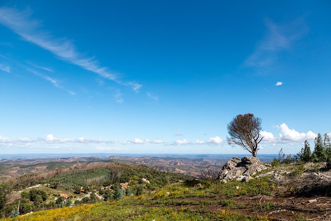 Algarve a la Carte - A north and west Algarve day without the driving chores