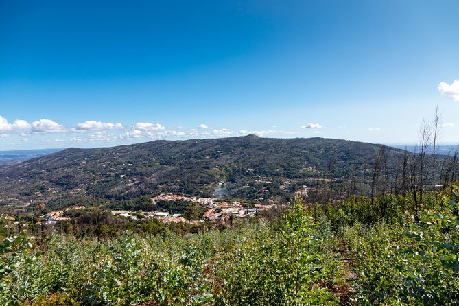 Algarve a la Carte - Commentary makes the difference
