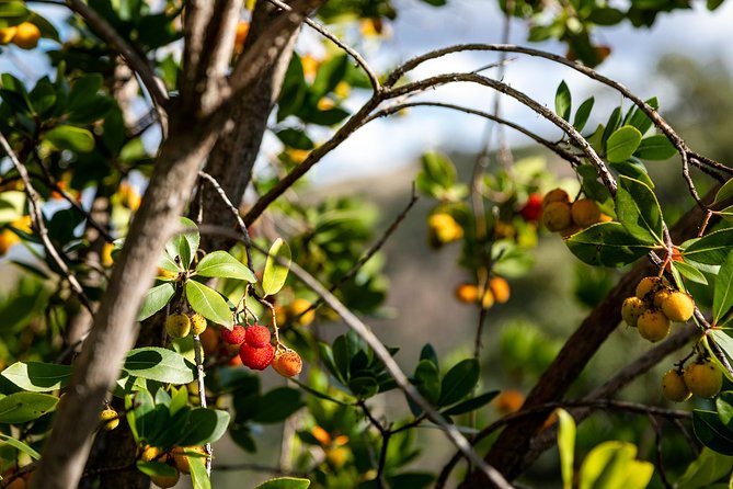 Algarve a la Carte - Who will enjoy this tour most