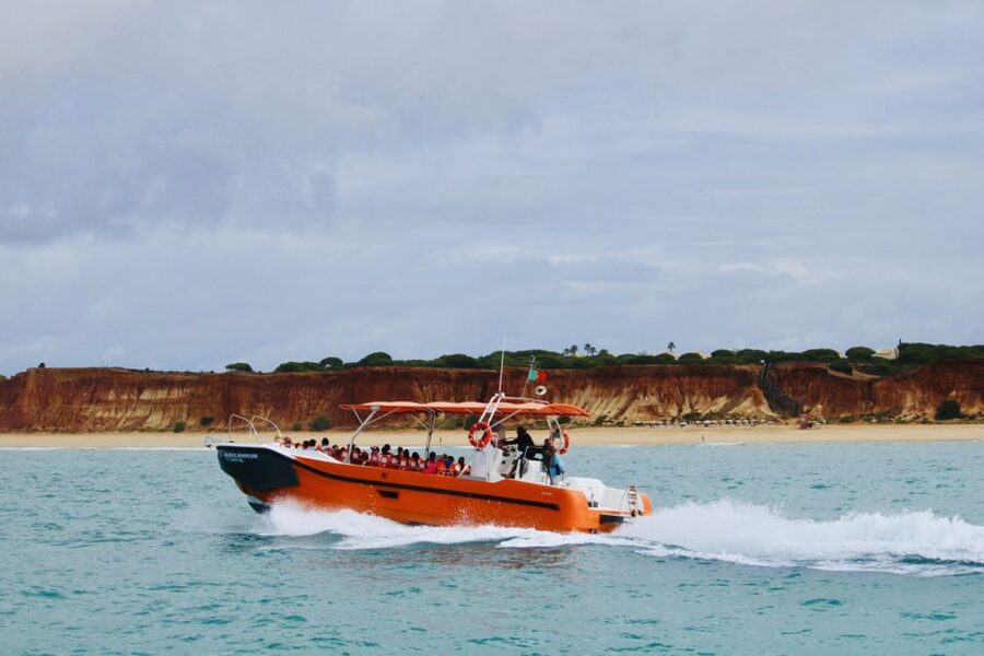 Algarve: Benagil Caves Open Speedboat Tour - The coastal cruise and the search for dolphins