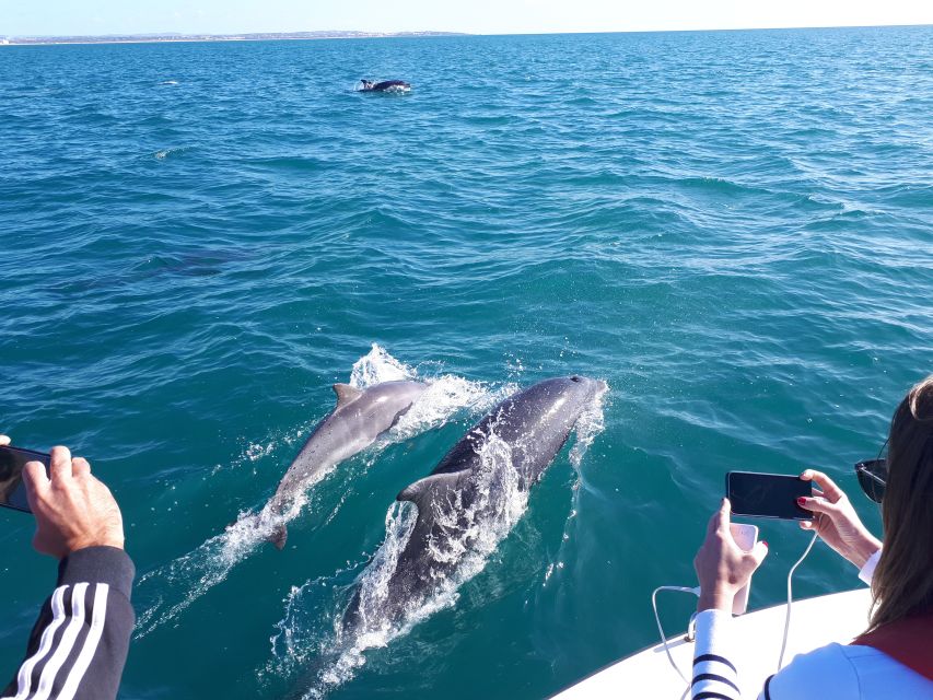 Algarve: Boat Trip to the Caves of Benagil - Leaving Portimão on the Arade River