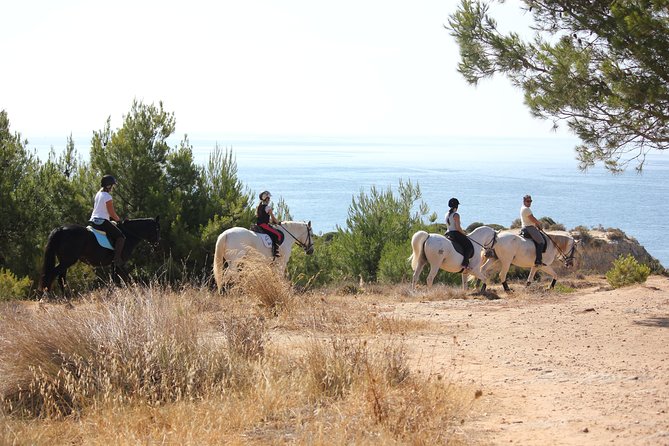 Algarve - Exclusive horseriding in Portimao (no experience required) - Reaching the Algarve coast