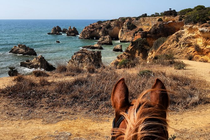 Algarve - Exclusive horseriding in Portimao (no experience required) - How much riding time do you really get?