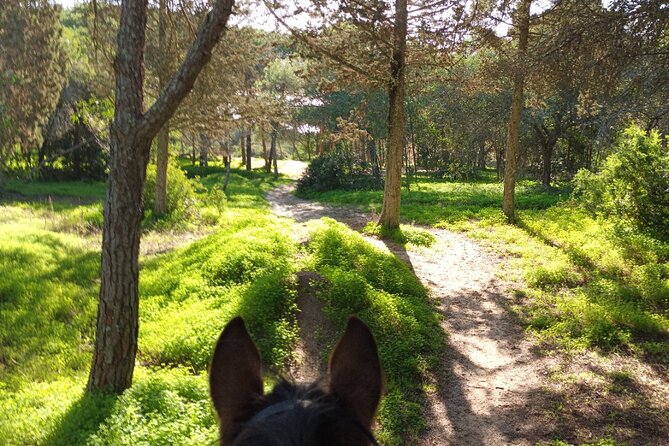 Algarve - Exclusive horseriding in Portimao (no experience required) - Why the small group matters