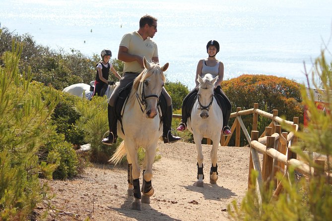 Algarve - Exclusive horseriding in Portimao (no experience required) - Pine trails and sandy paths