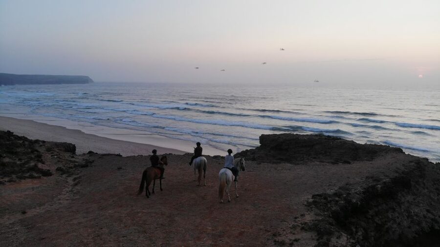 Algarve: Horse Riding Beach Tour at Sunset or Morning - From Carrapateira village to the pine woods