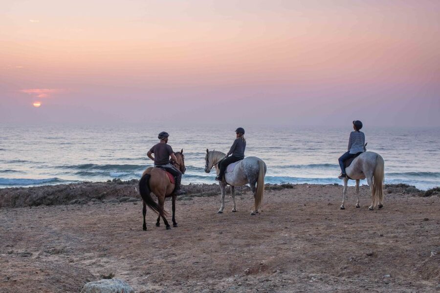 Algarve: Horse Riding Beach Tour at Sunset or Morning - My practical verdict