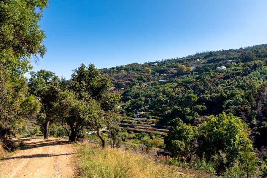 Algarve: Jeep Safari with Distillery Visit & Lunch - Is $84 good value?
