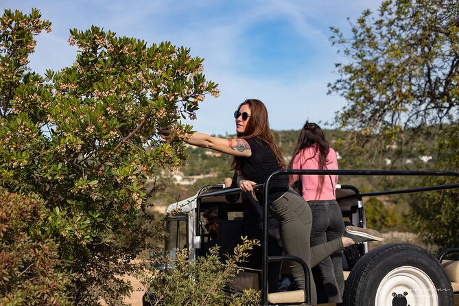 Algarve Safari - Half Day from Albufeira - Who Should Book This Half-Day Outing?