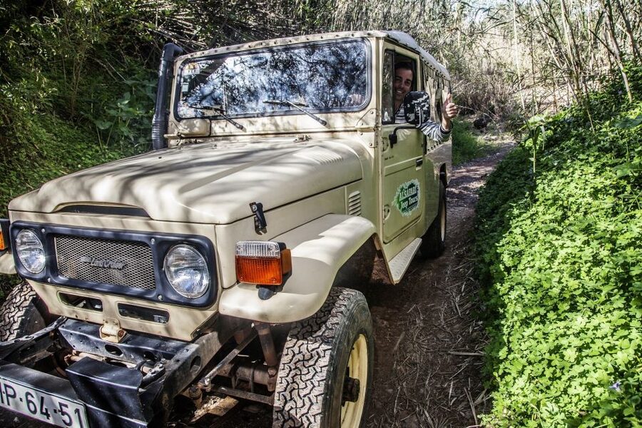 Algarve: Sunset Jeep Safari Tour - Orange groves, herbs, and the working Algarve