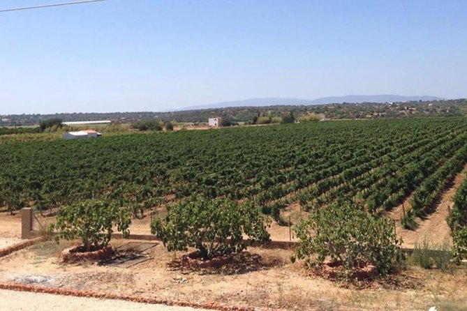 Algarve wine tour and mountain top trip with lunch or dinner at sunset time - Through Monchique toward the highest point