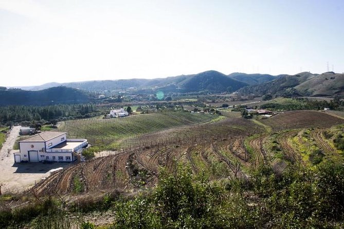 Algarve Wine Tour of Two Wine Estates - Villa Alvor, a working family farm near Monchique