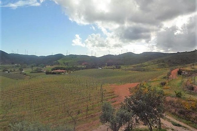 Algarve Wine Tour of Two Wine Estates - Is $93.04 a fair price?