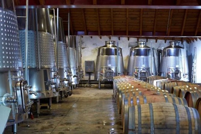 Algarve Wine Tour of Two Wine Estates - Who will enjoy this Algarve wine tour?