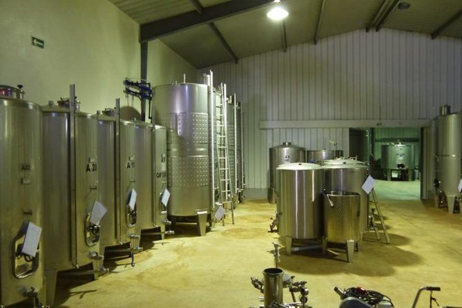 Algarve Wine Tour of Two Wine Estates - Six tastings, with a practical warning about food