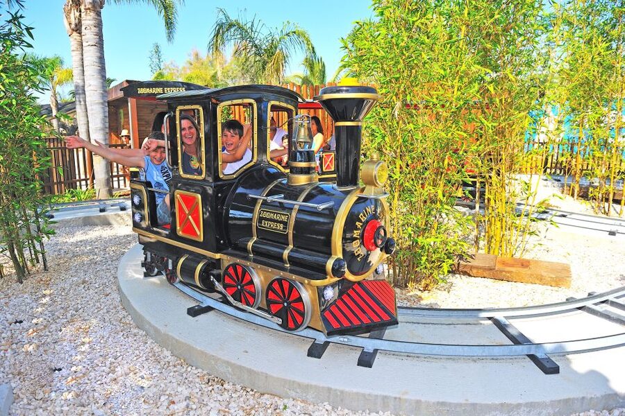 Algarve: Zoomarine Amusement Park Entry Ticket - Why Zoomarine works as an Algarve day out