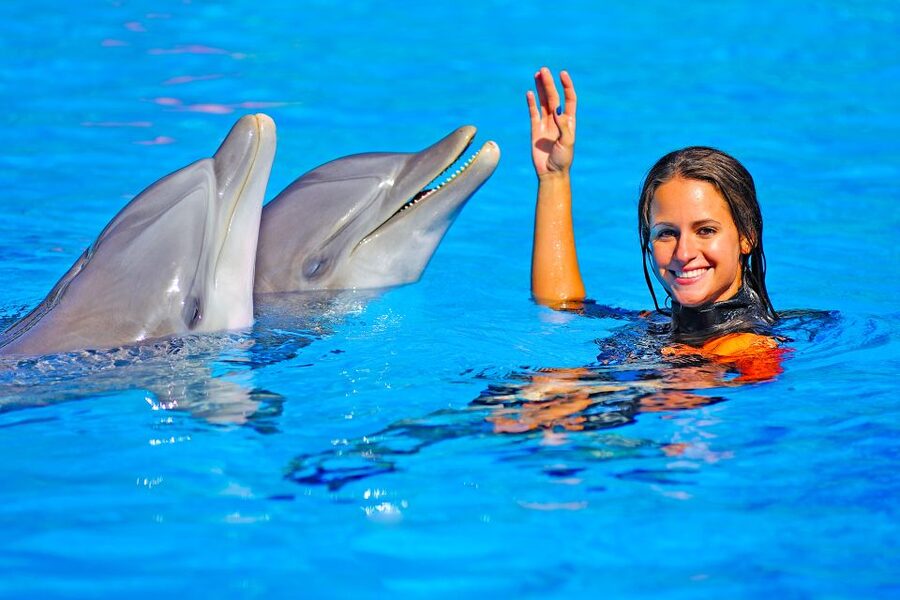 Algarve: Zoomarine Amusement Park Entry Ticket - Dolphin and sea lion presentations