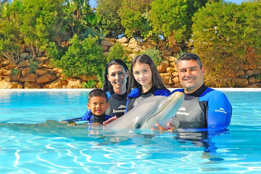 Algarve Zoomarine Ticket and Dolphin Emotions Experience - Meeting dolphins in Zoomarine’s sandy lagoon