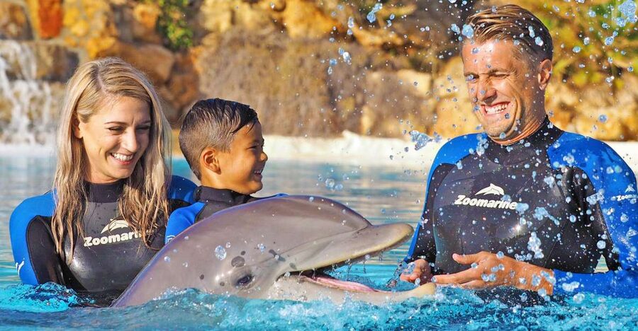 Algarve Zoomarine Ticket and Dolphin Emotions Experience - Encounter or Exclusive: choosing the right package