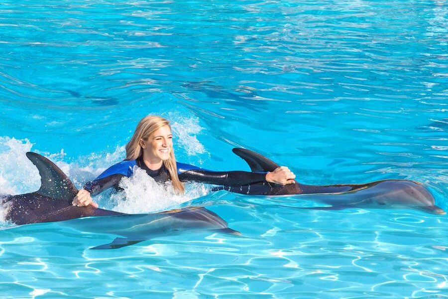 Algarve Zoomarine Ticket and Dolphin Emotions Experience - How the timing works on the day