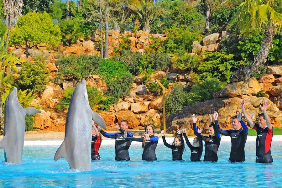 Algarve Zoomarine Ticket and Dolphin Emotions Experience - Is the $142 price good value?