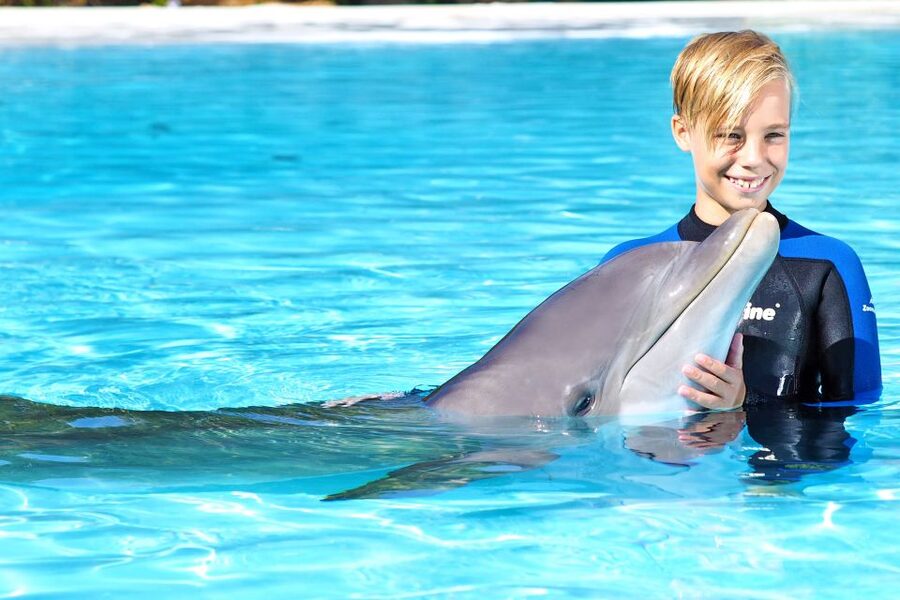 Algarve Zoomarine Ticket and Dolphin Emotions Experience - The park admission changes the shape of the day