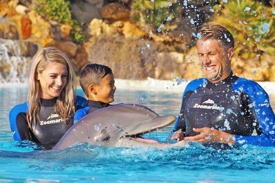 Algarve Zoomarine Ticket and Dolphin Emotions Experience - What to bring and what to leave at home