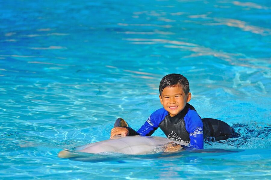 Algarve Zoomarine Ticket and Dolphin Emotions Experience - Who will enjoy this most?