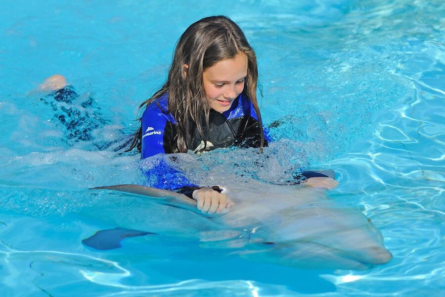 Algarve Zoomarine Ticket and Dolphin Emotions Experience - What the educator and trainer actually add