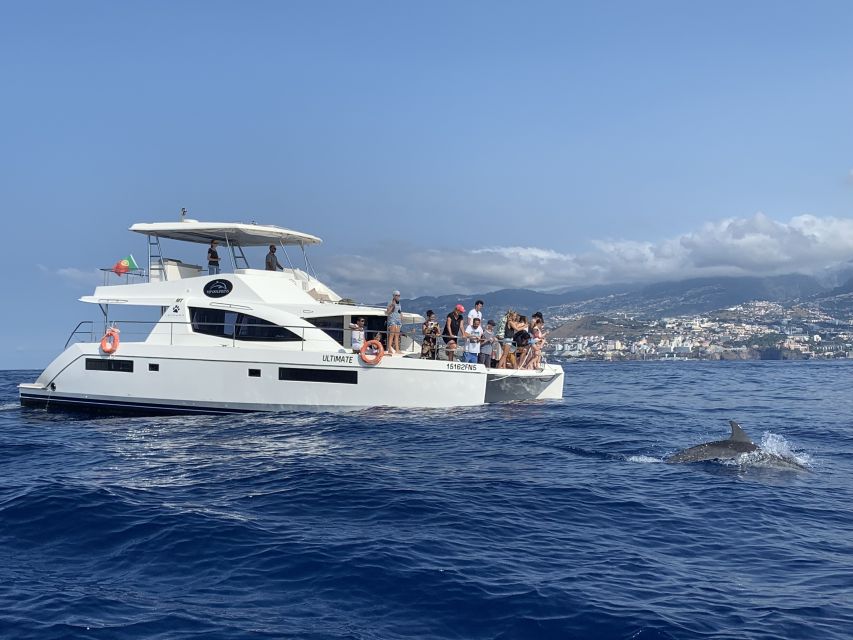 All Inclusive Whale and Dolphin Watching Luxury Tour - Booking details worth knowing