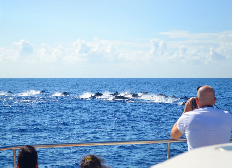All Inclusive Whale and Dolphin Watching Luxury Tour - The secret stop and the rhythm of the cruise