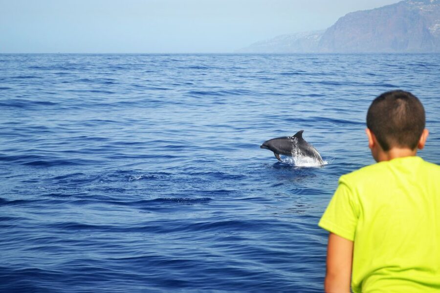 All Inclusive Whale and Dolphin Watching Luxury Tour - Who will get the most from this cruise?