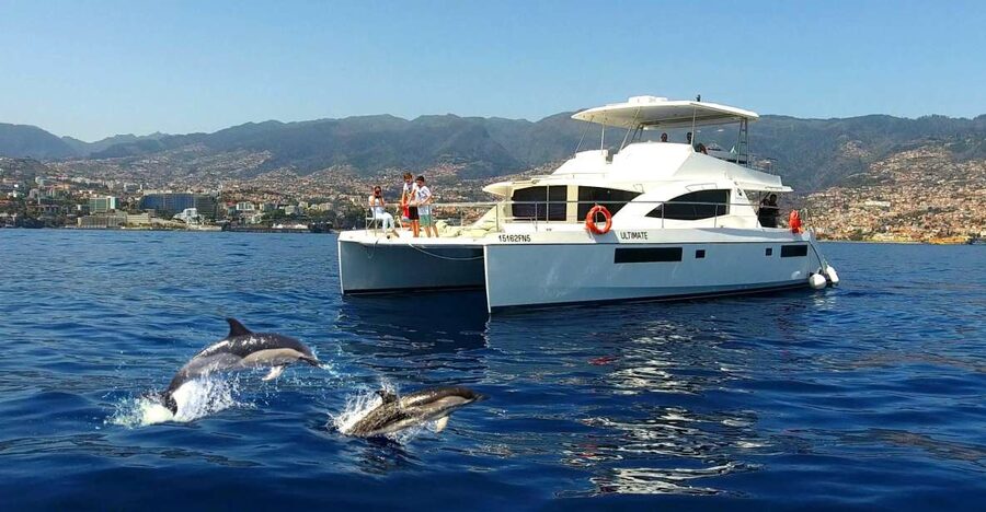All Inclusive Whale and Dolphin Watching Luxury Tour - The first 45 minutes: heading into whale country