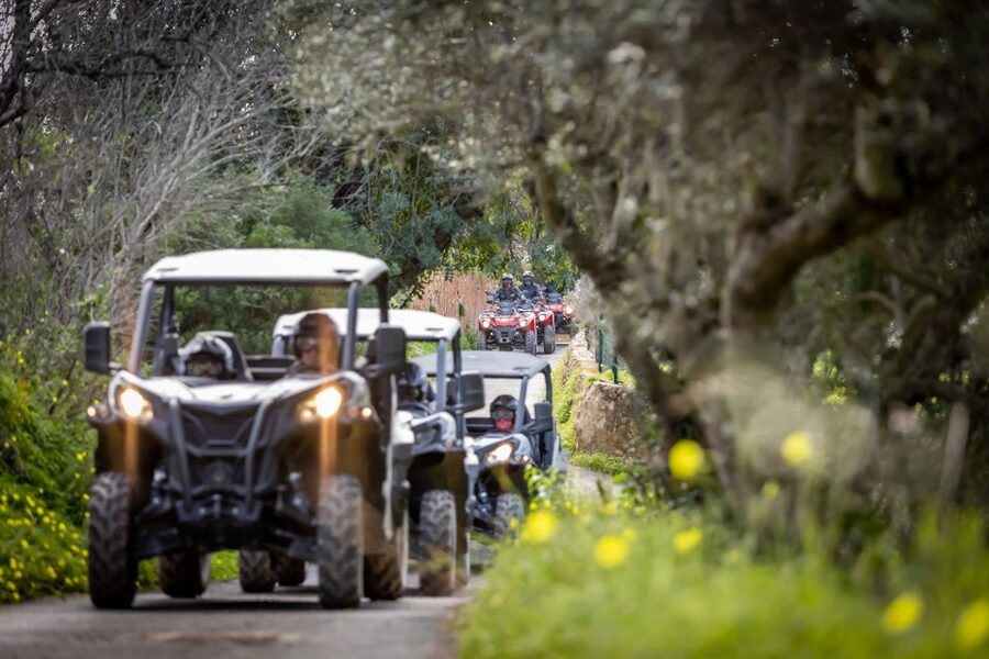 Almancil: Algarve Guided Off-Road Buggy Adventure - What happens during the first briefing