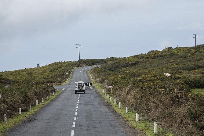 Amazing West - Jeep Safari Tour - Full Day - Shared Tour - Seixal pairs black sand with strange rock