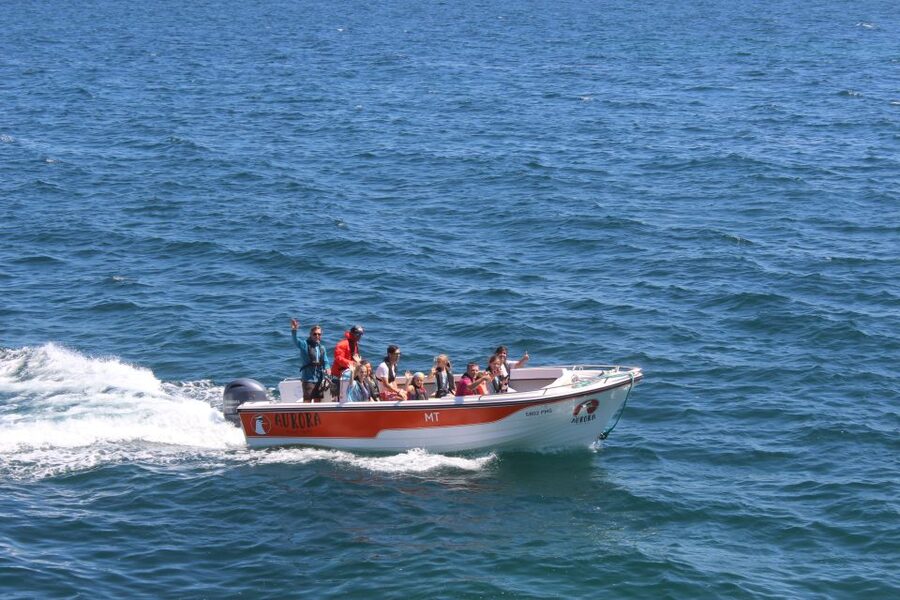 Armação de Pêra: Guided Boat Tour of Benagil's 15 Best Caves - Marinha Arches, the Yellow Submarine, and Albandeira Arch