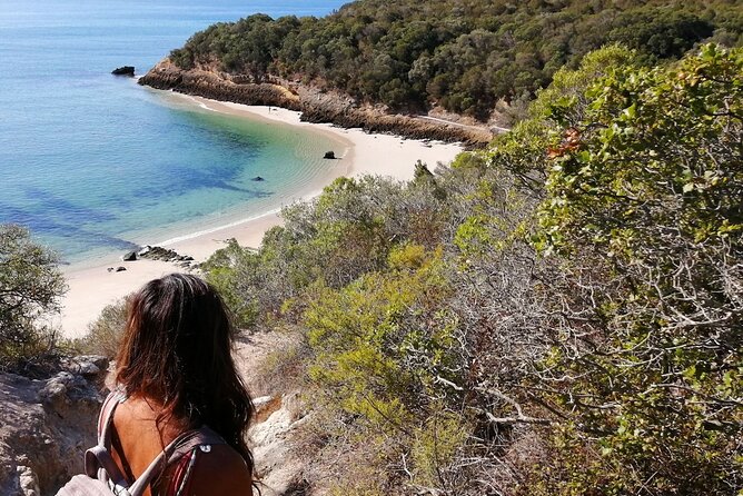 Arrábida: Beach, Nature & History - Paulo’s guiding style and the value of a private-feeling day