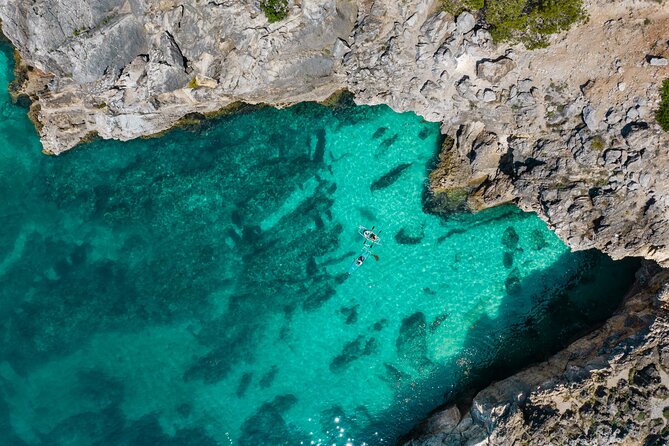 Arrábida: Guided Transparent Kayaking Tour - Why the transparent kayak changes the outing