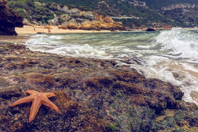 Arrabida Safari – Europe's Most Beautiful Beach & Hidden Gems - Crossing the 25 April Bridge into the south