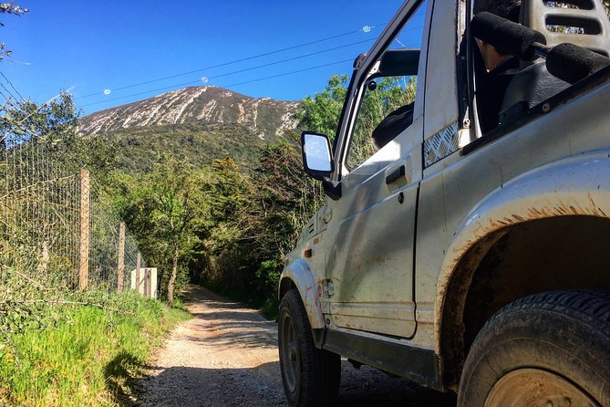 Arrabida Safari – Europe's Most Beautiful Beach & Hidden Gems - Through Arrabida’s cork forests and vineyards